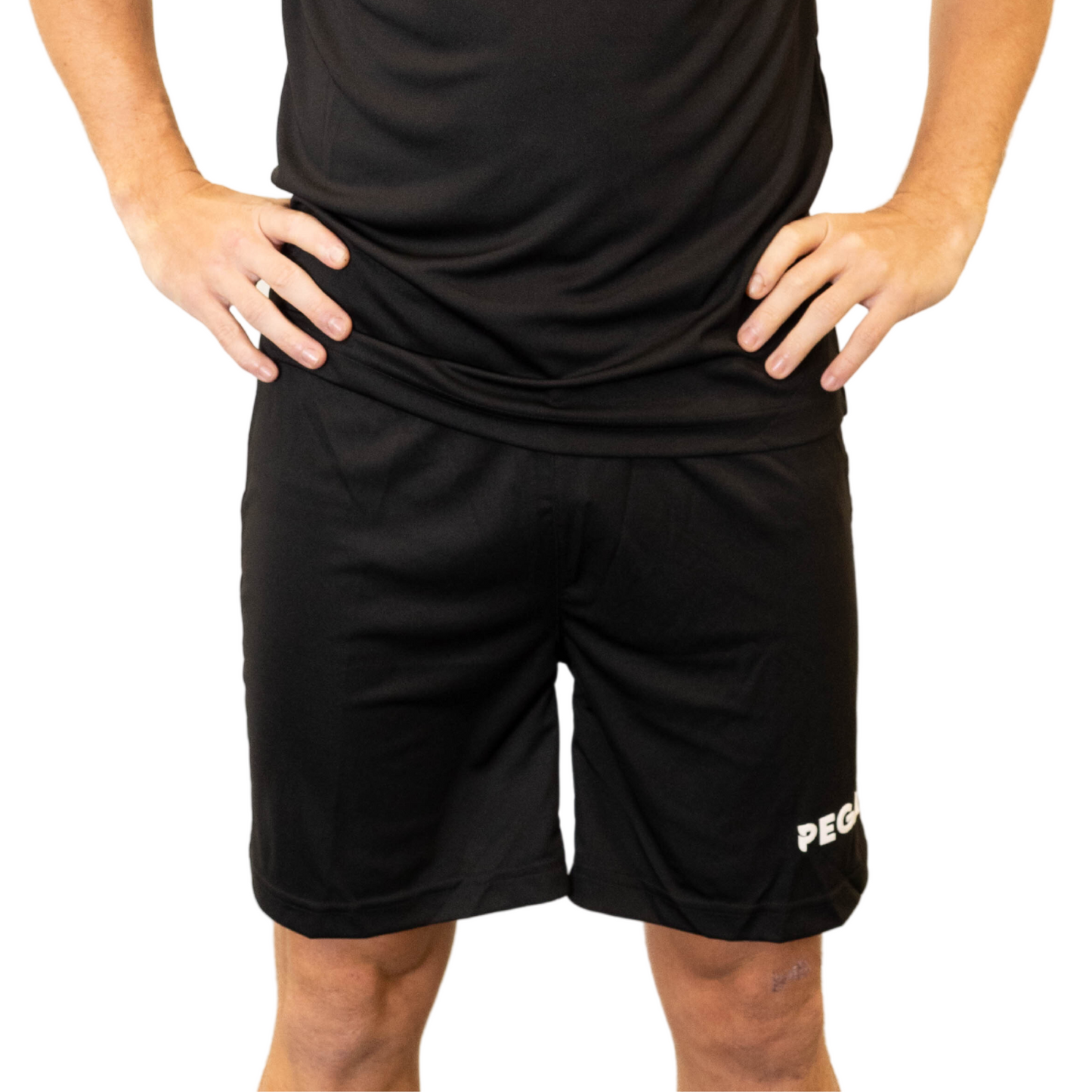 product_model